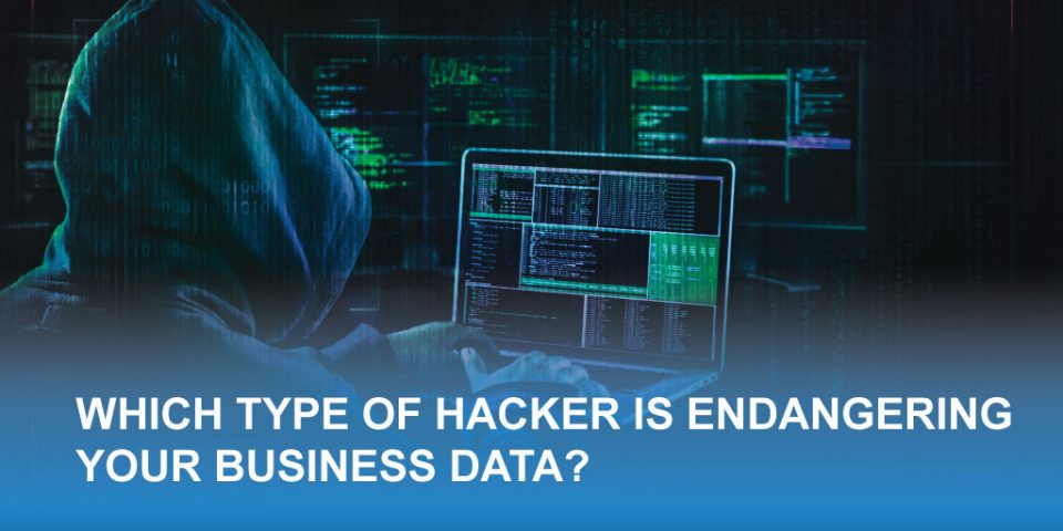 Which Type of Hacker is Endangering Your Business Data?